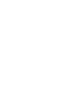 logo_pib_bras_branco_peq